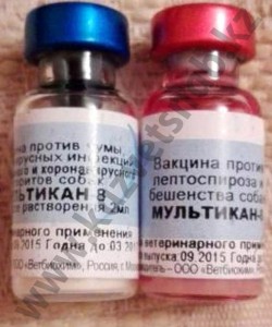 Вакцина Мультикан - 8