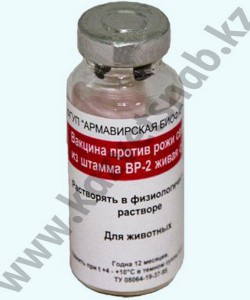 Вакцина ВР-2 (сухая) Вакцина против рожи свиней